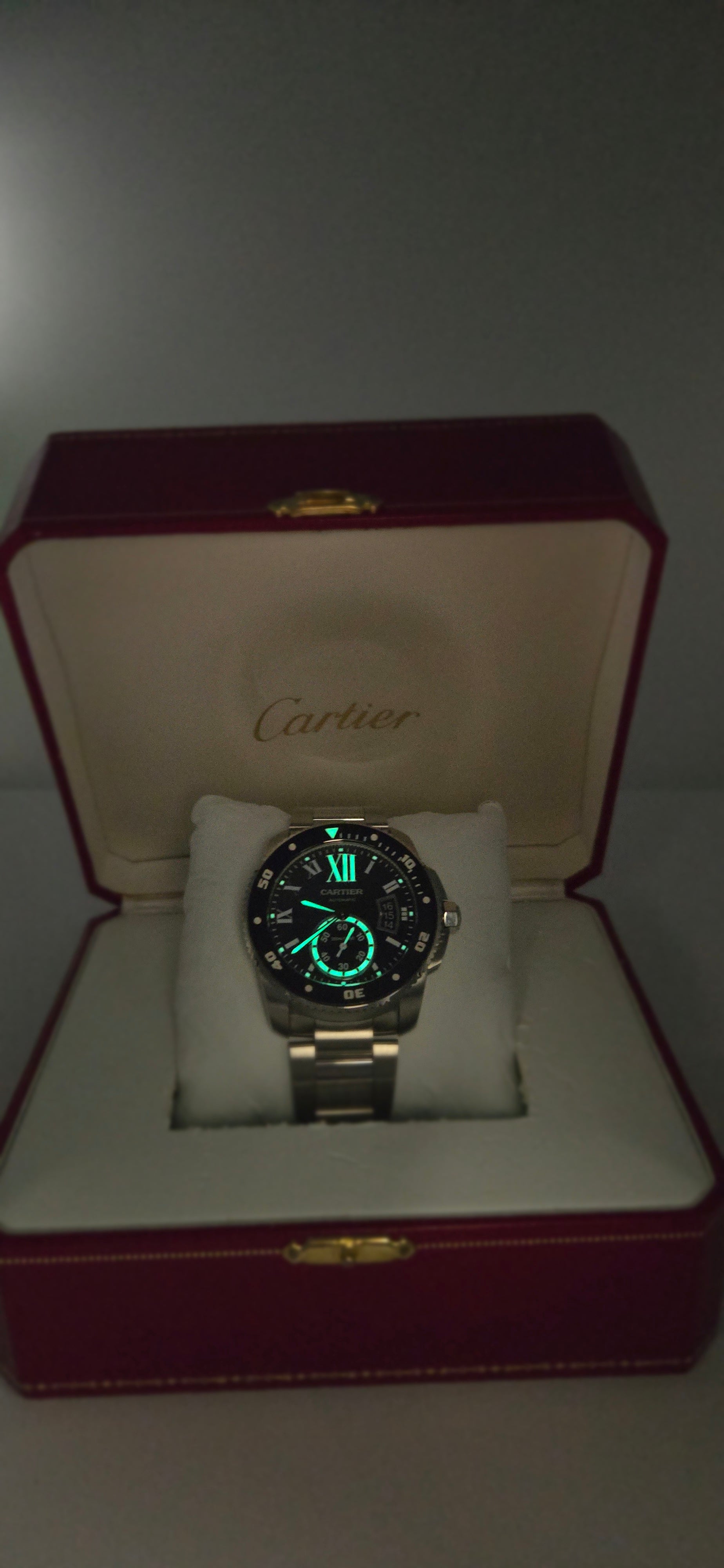 Cartier Calibre de Cartier Diver W7100057 Steel